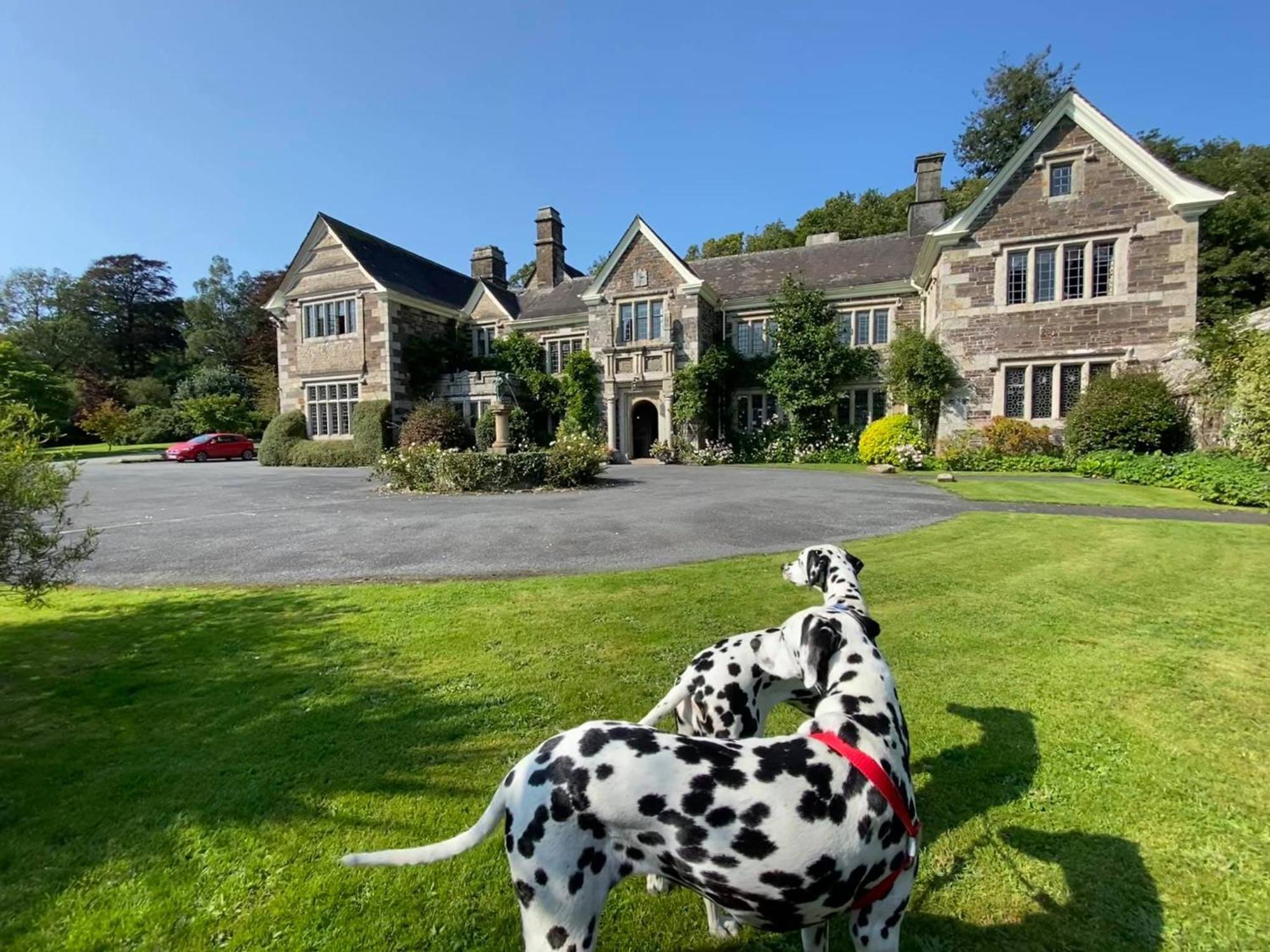 Hotel Lewtrenchard Manor Zewnętrze zdjęcie
